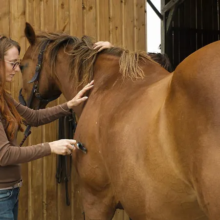 Parcel Tiny House Mainteloup Dans Le Perche Normand Chalet