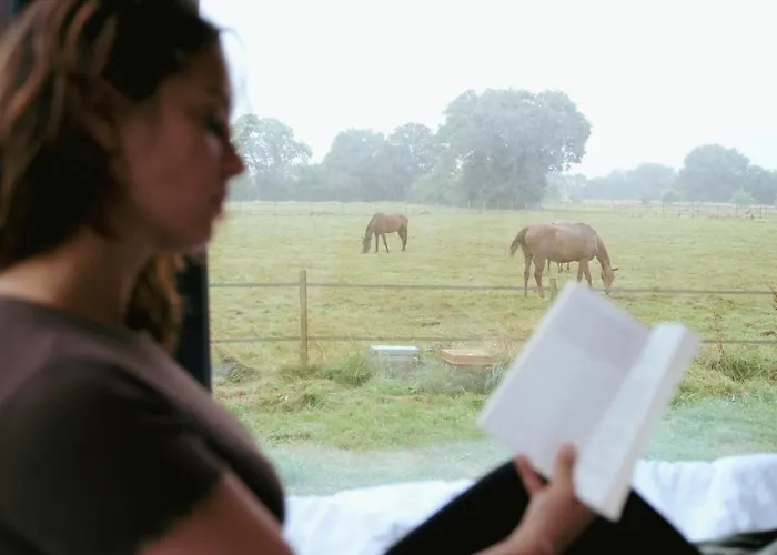Chalet Parcel Tiny House Mainteloup Dans Le Perche Normand Bretoncelles