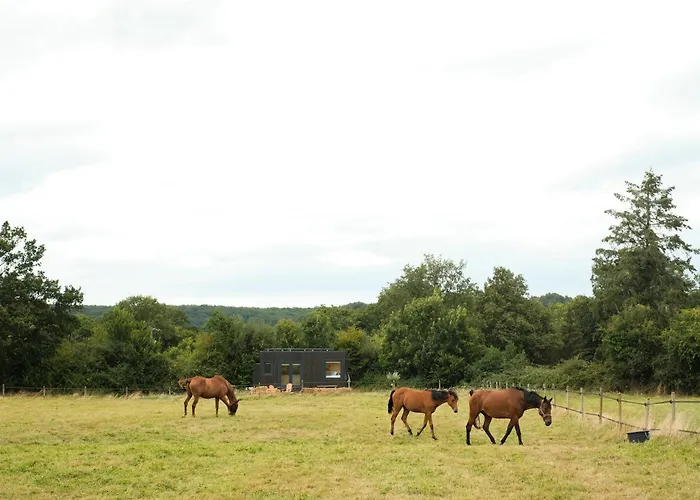Parcel Tiny House Mainteloup Dans Le Perche Normand Chalet Bretoncelles