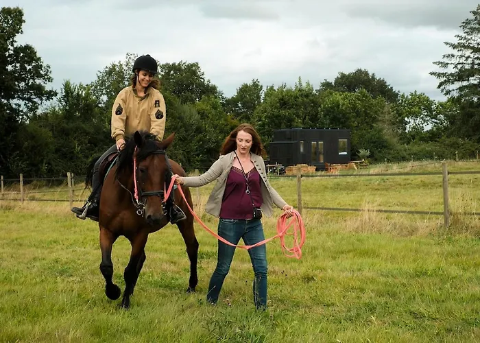 Chalet Parcel Tiny House Mainteloup Dans Le Perche Normand Bretoncelles