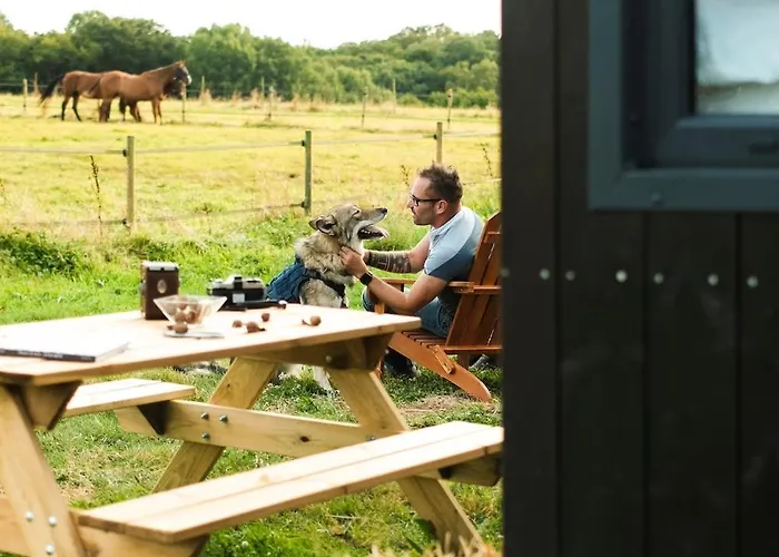 Parcel Tiny House Mainteloup Dans Le Perche Normand Chalet Bretoncelles